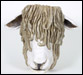 Lincoln Longwool Sheep