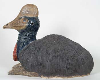 Cassowary by Tracy Wright