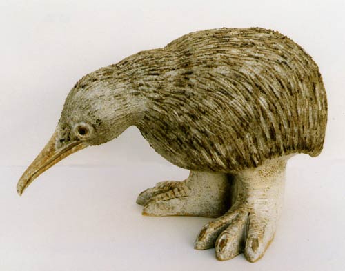 Kiwi by Tracy Wright