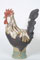 Brown Leghorn Cockerel