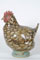 Speckled Sussex hen